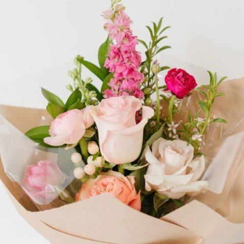 🌸 Guía del Cuidado correcto de las orquídeas