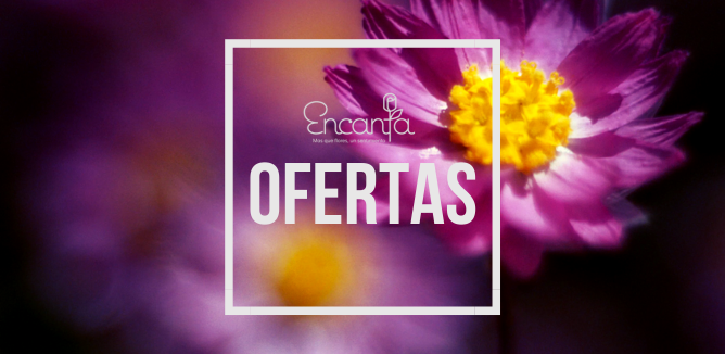 ofertas